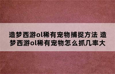 造梦西游ol稀有宠物捕捉方法 造梦西游ol稀有宠物怎么抓几率大